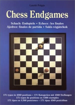 Chess Endgames