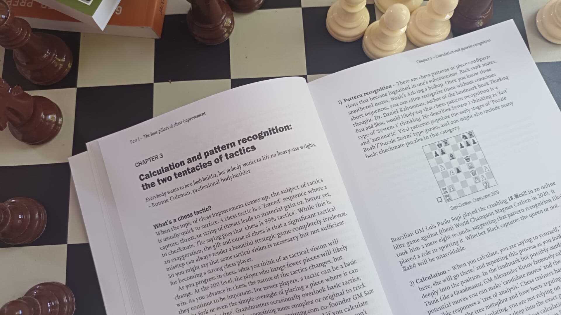 7 Best Chess Books for (very) Ambitious Beginners