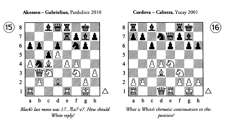 Two diagrams from Chess Structures: A Grandmaster Guide