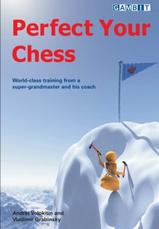 Chess book review, Perfect Your Chess, Andrei Volokitin