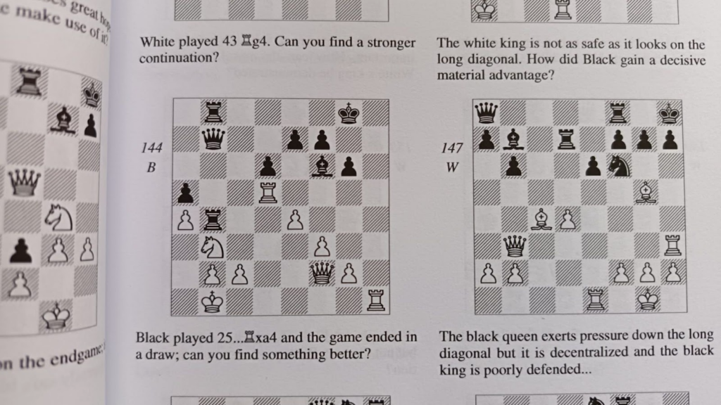 Chess Puzzle Books, The Giant Chess Puzzle Book