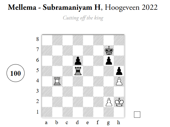 Chess Puzzle Books, Conceptual Rook Endgames Workbook