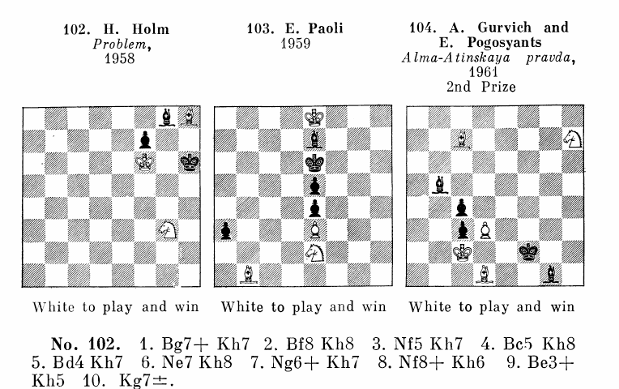 Chess Puzzle Books, Domination in 2545 Endgame Studies