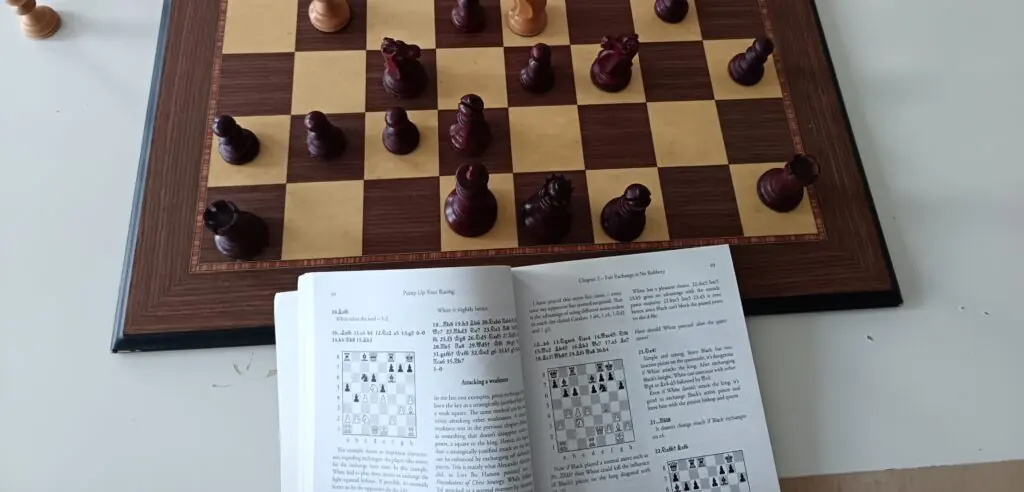 Chessreads, how to read chess books, reading chess book