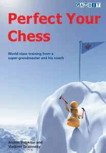 Chess book review, Perfect Your Chess, Andrei Volokitin