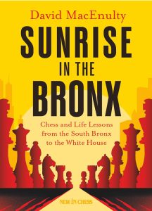 Chess book review, Sunrise in the Bronx, David MacEnulty