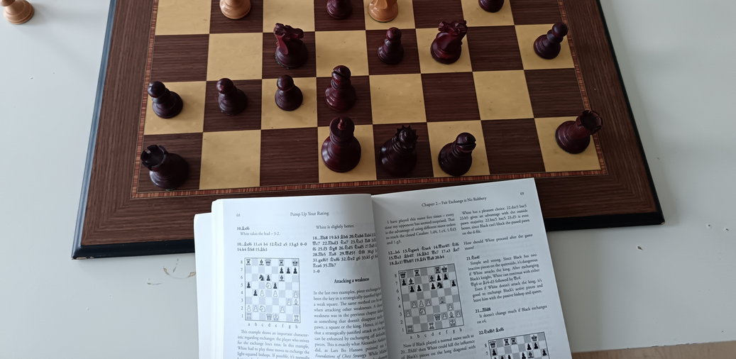Chessreads, how to read chess books, reading chess book