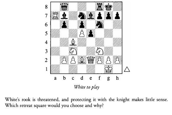 An example position from Strategic Play.